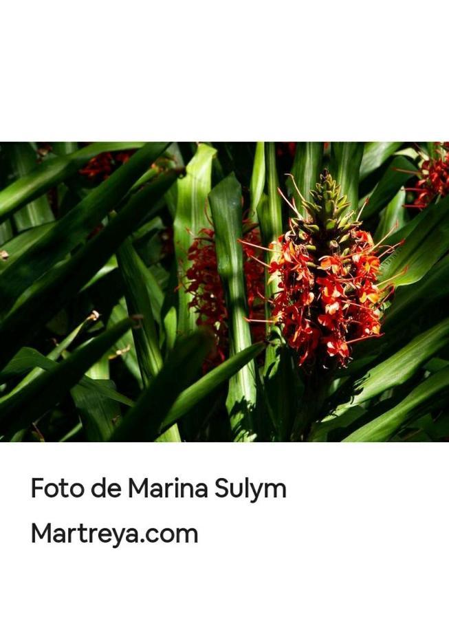 Apartament Jardin De Naipi Puerto Iguazú Zewnętrze zdjęcie