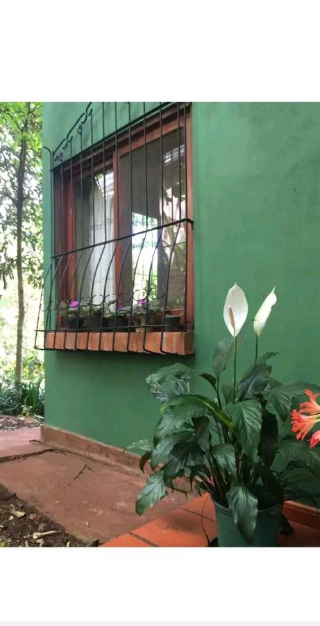 Apartament Jardin De Naipi Puerto Iguazú Zewnętrze zdjęcie